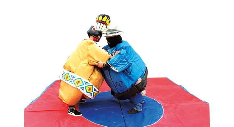 image-master-slider-sumo-western-02