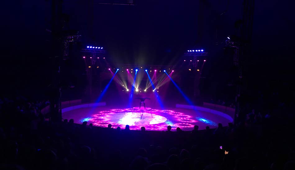 master-slider-sonorisation-video-950x547-07